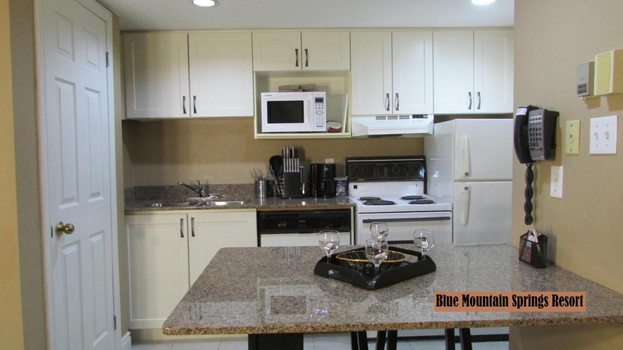 ההרים הכחולים Blue Mountain Apartment At North Creek Resort חדר תמונה