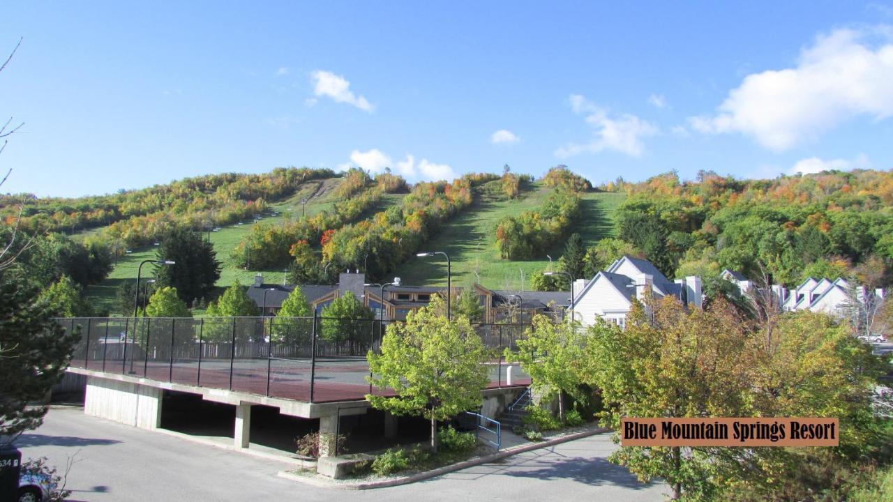 ההרים הכחולים Blue Mountain Apartment At North Creek Resort מראה חיצוני תמונה